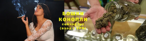 крисы Дмитров