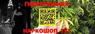 кокс Берёзовский
